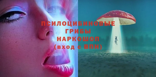 ешки Алексеевка