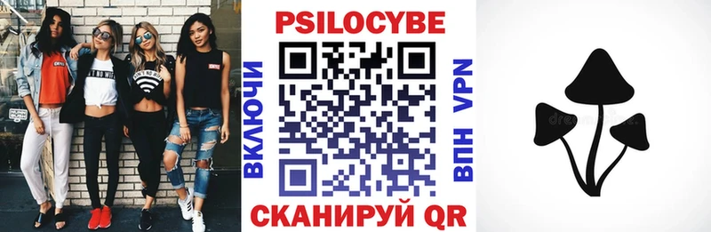 Псилоцибиновые грибы Cubensis  Райчихинск 